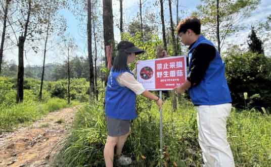 全面打好野生蘑菇预防中毒保卫战